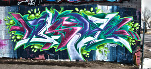 Wall Graffiti by Wiser